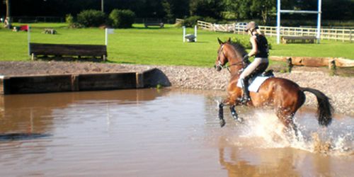 kate-tarrant-lmeq