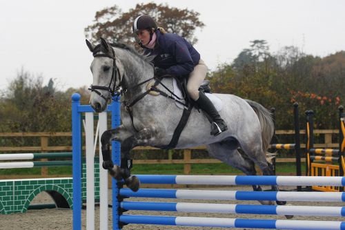 lmeq-showjumping-arena-competitions 1